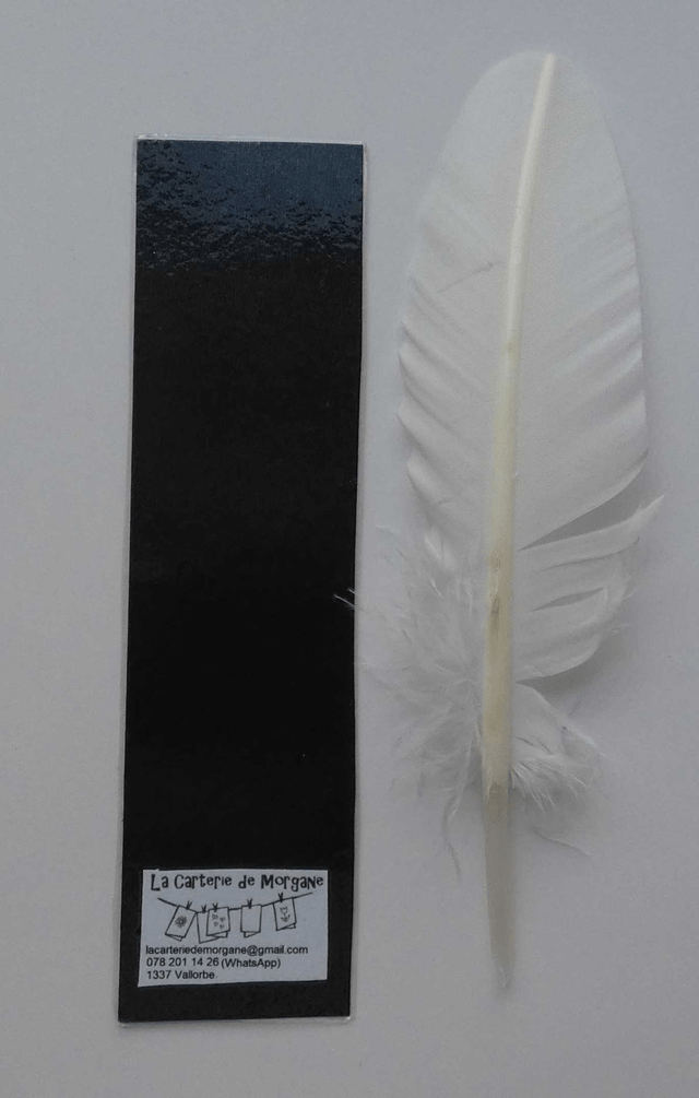 Le marque-page des sorciers