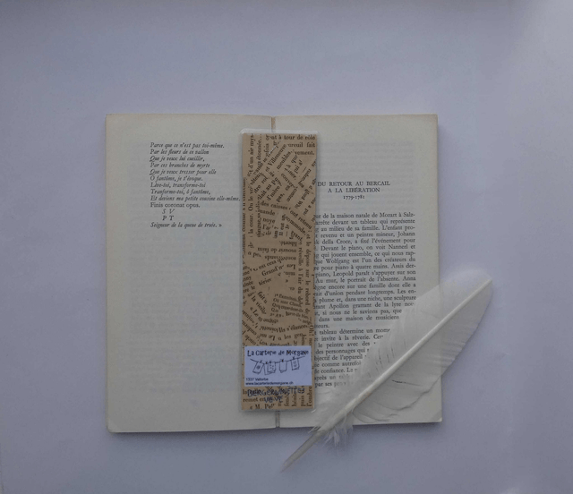 Le marque-page des bergeronnettes grises