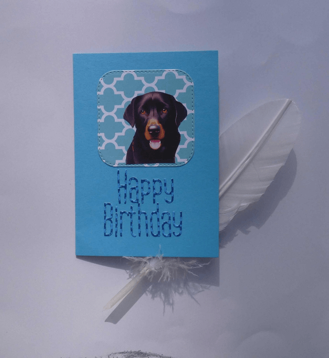 Le labrador d'anniversaire