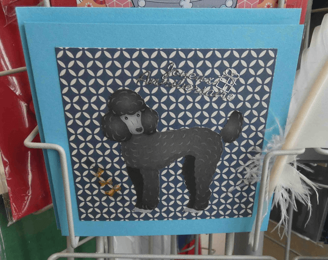 Le chien d'anniversaire