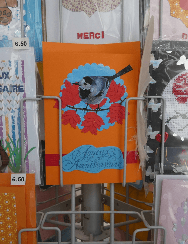 Un anniversaire automnal avec cette bergeronnette grise 