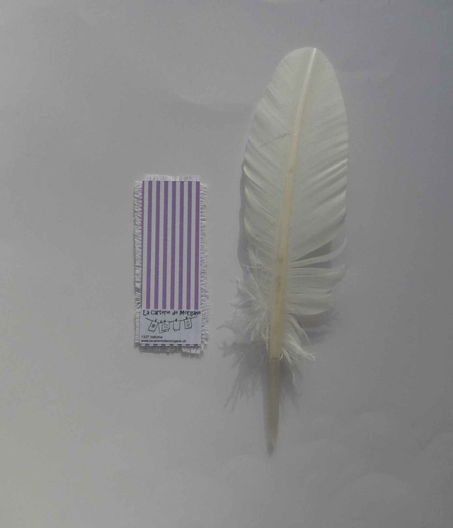 Le marque-page violet brodé