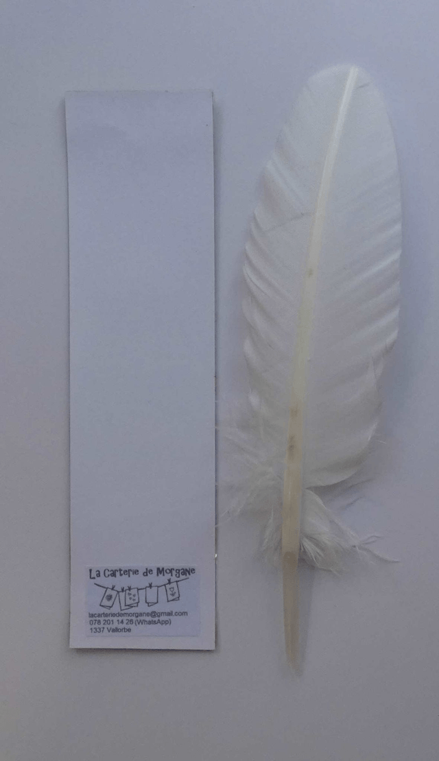 Un marque-page fleuri