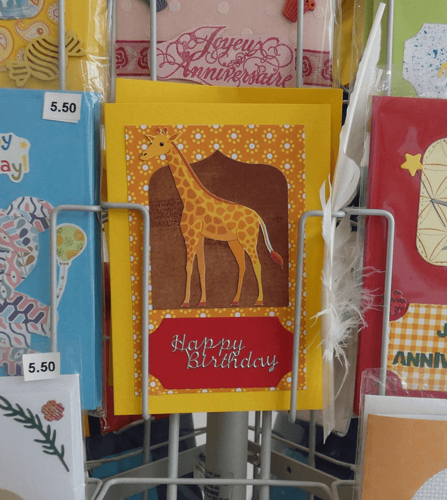 Une girafe pour un anniversaire