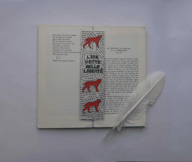 Lire cette belle liberté avec les lynx