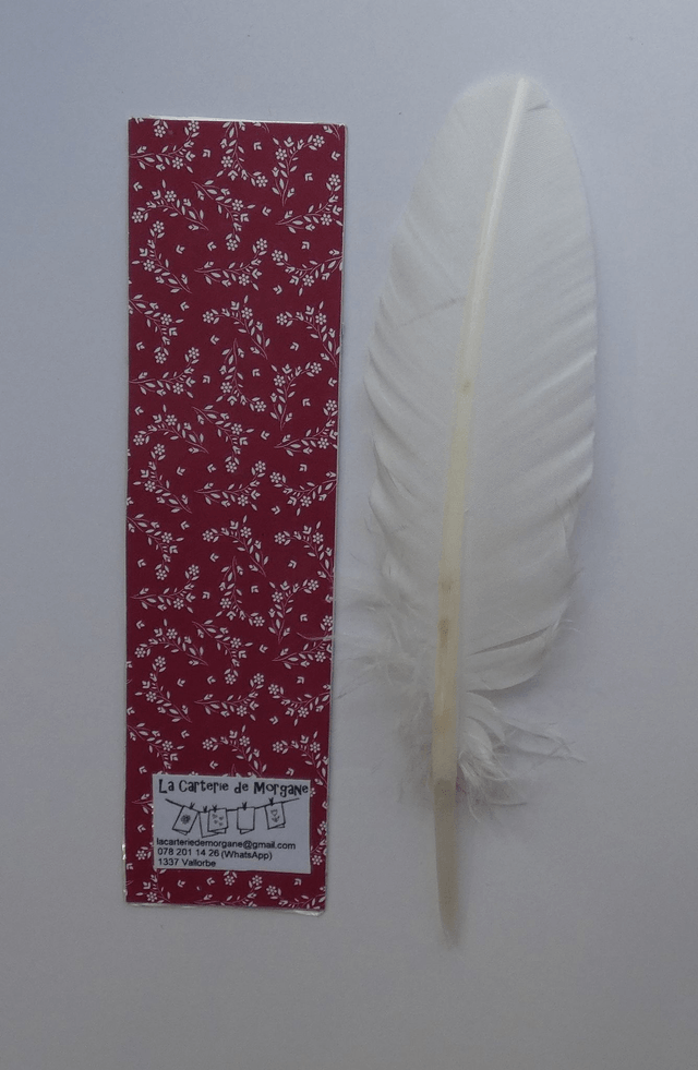 La farandole des papillons du marque-page