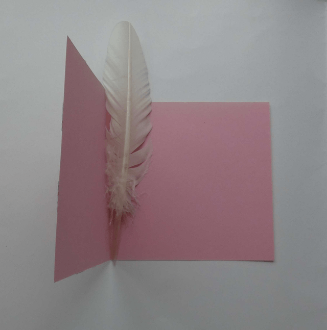 Le papillon d'anniversaire