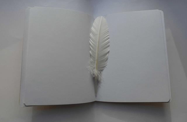 Un carnet pour de jolis dessins