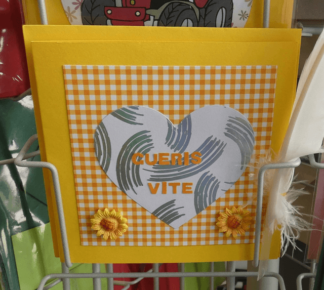 Guéris vite