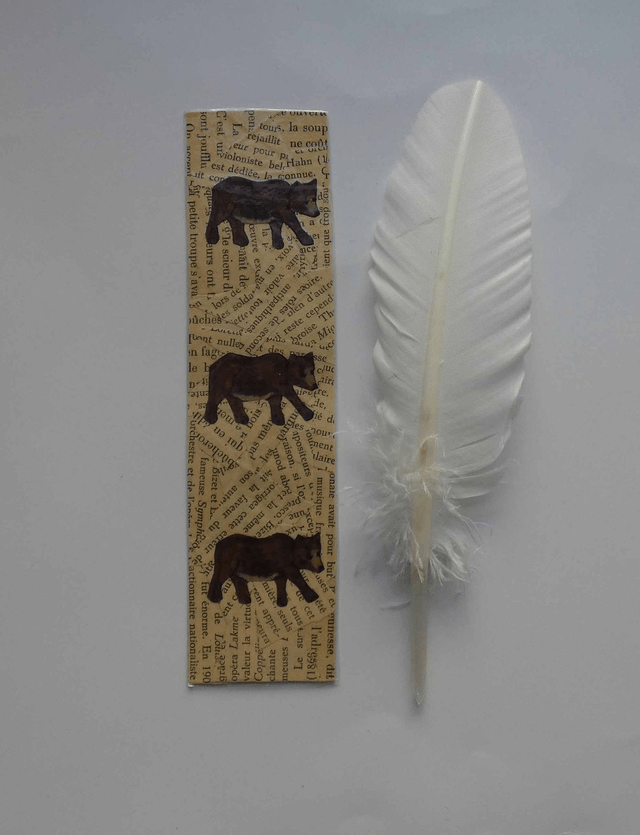 Le marque-page des ours bruns
