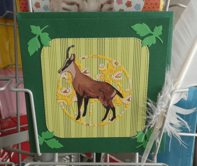 Un joli chamois