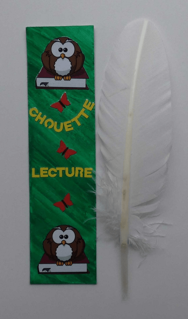 Chouette lecture
