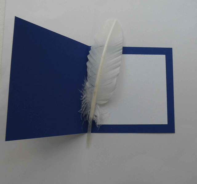 Un bison pour toutes les occasions