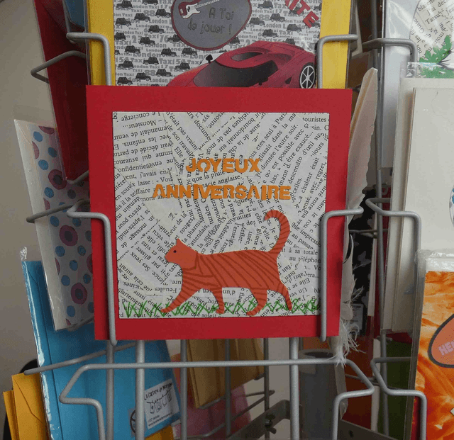 un anniversaire avec un chat