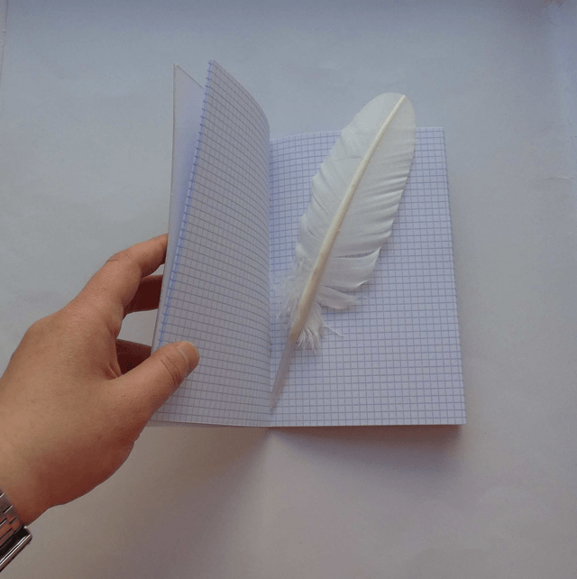 Le petit carnet quardillé aux chevaux
