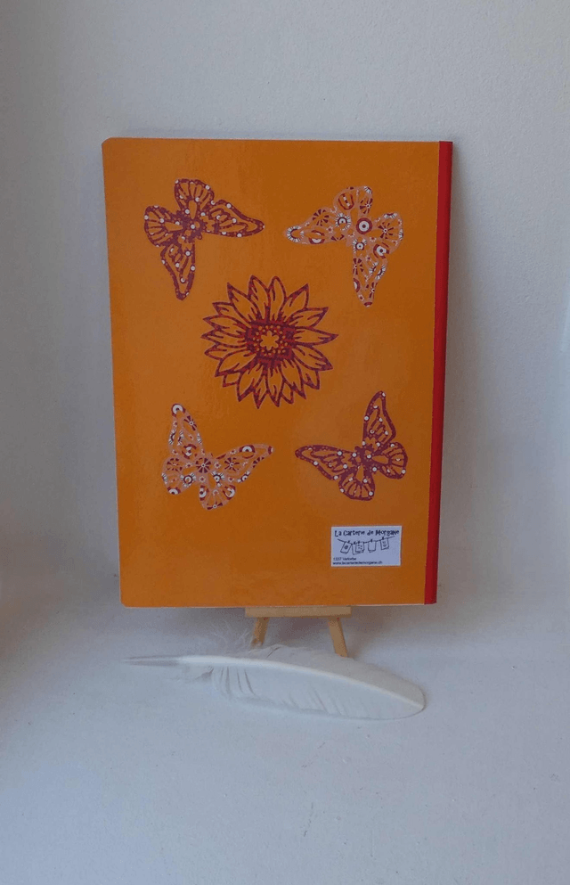 Le grand carnet de dessin aux papillons