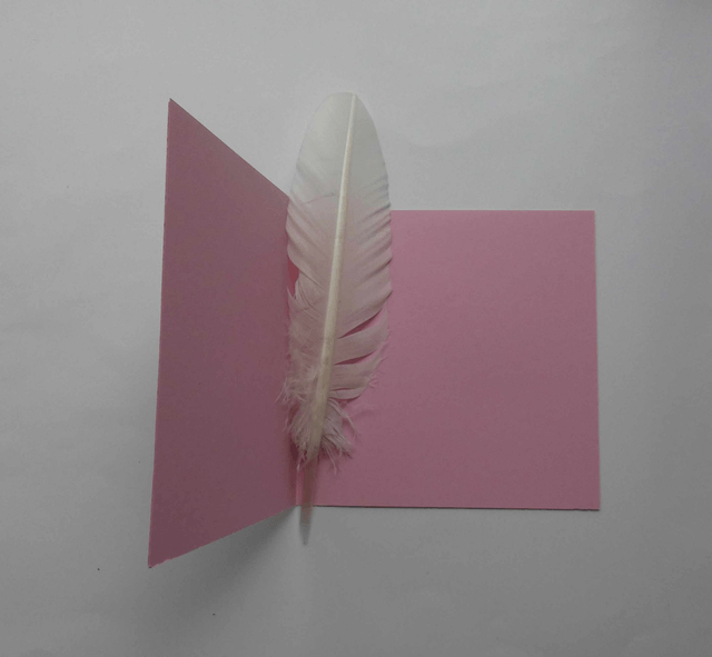 Un anniversaire en rose