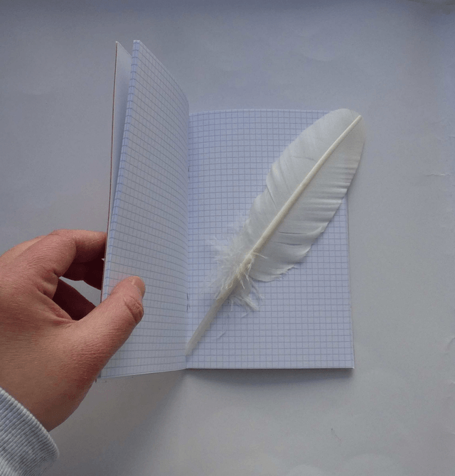 Le petit carnet aux papillons