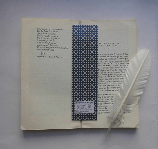 Les fées gardiennes du livre