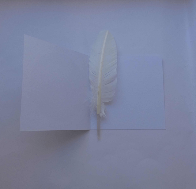 Heureux mariage avec un hibou