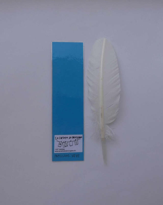 La farandole des papillons