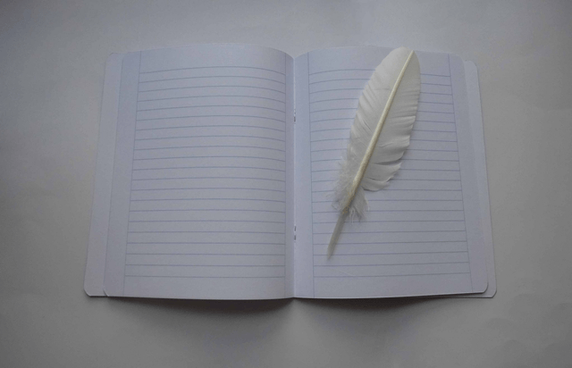 Le carnet ligné de ma réserve de bonne humeur