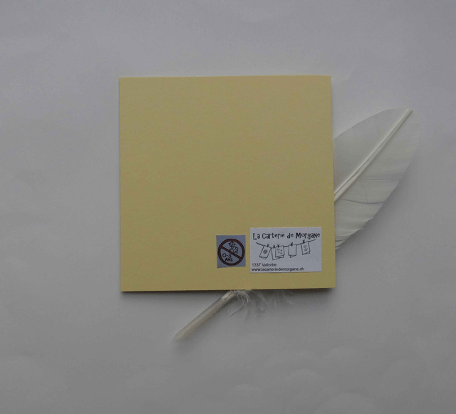 Une carte artisanale de naissance