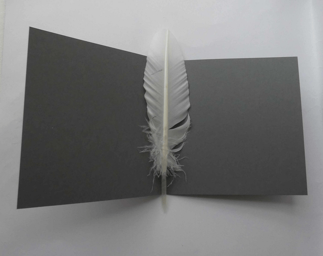 Le papillon du deuil