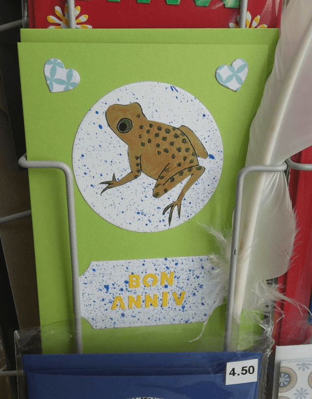 Joyeux anniv avec une grenouille