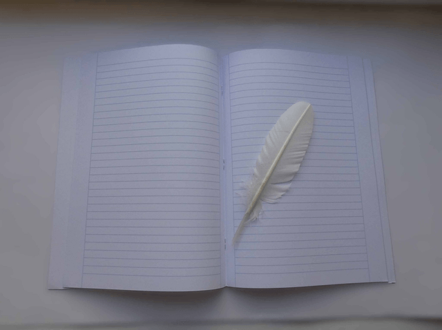 Le grand carnet ligné vive la musique