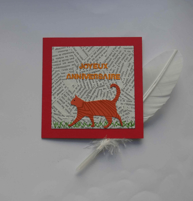 un anniversaire avec un chat