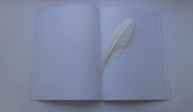 Le grand carnet de dessin aux papillons