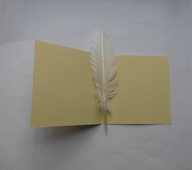 Une carte artisanale de naissance
