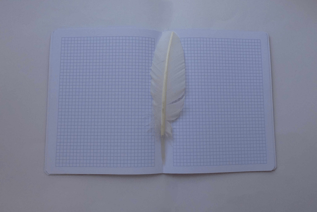 Un carnet quadrillé aux bouquets de fleurs