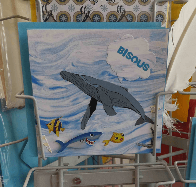 La baleine en vacances