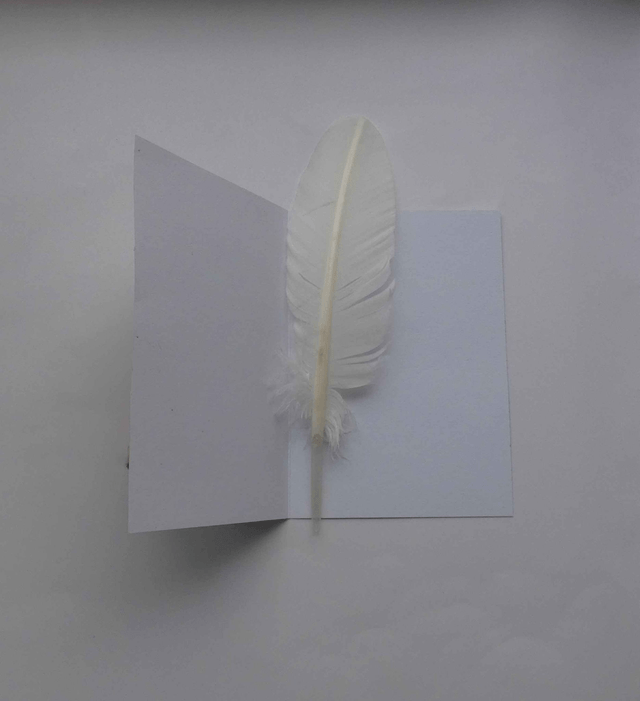 Heureux mariage aux tourtereaux