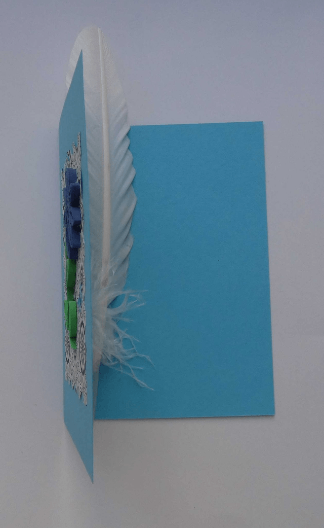 Jole fleur bleue