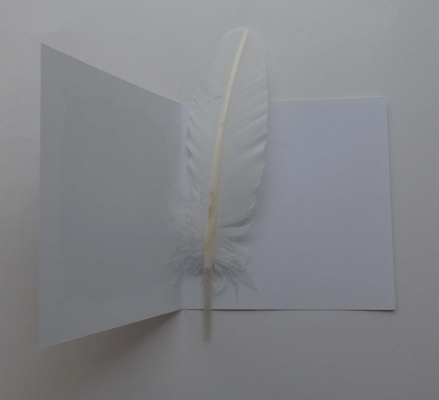 Heureuse retraite avec le papillon