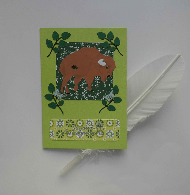 Le bison d'anniversaire