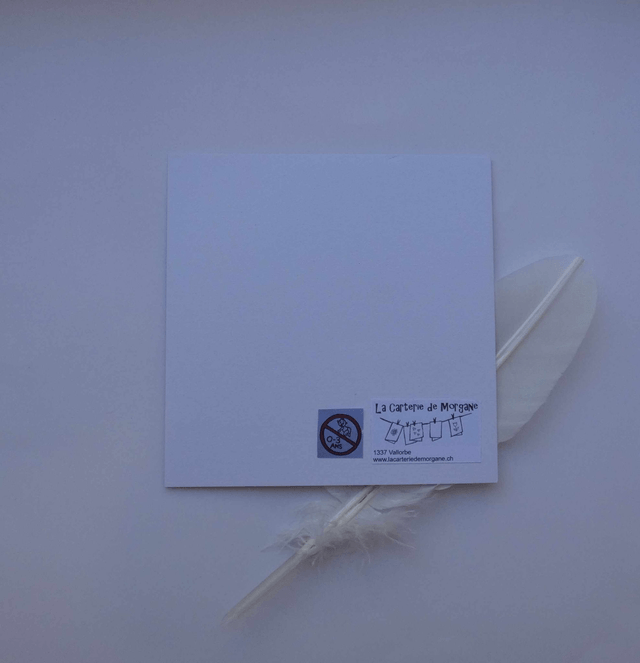 Heureux mariage avec un hibou