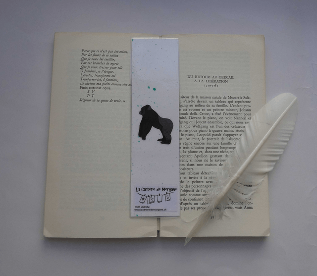 La banane avec les livres