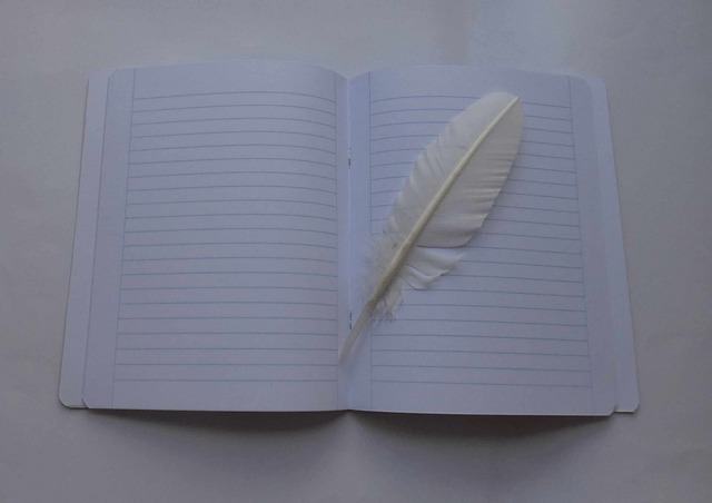 Le carnet lignée on ne répète jamais assez