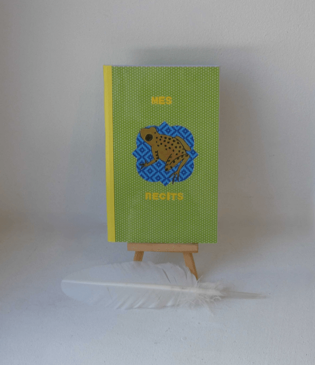 Le petit carnet quadrillé aux grenouilles