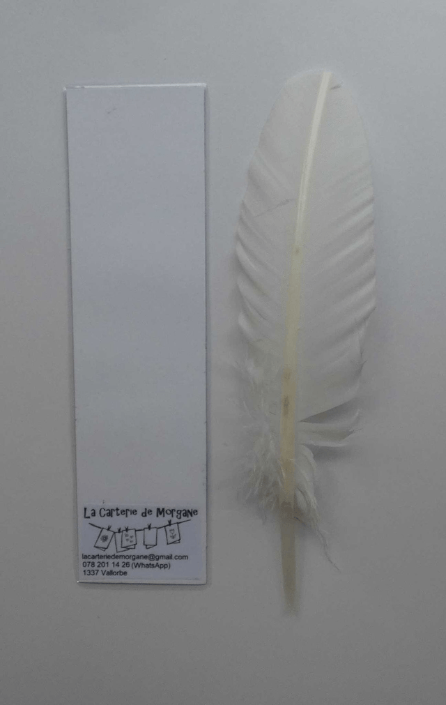 Le marque-page au bouquet