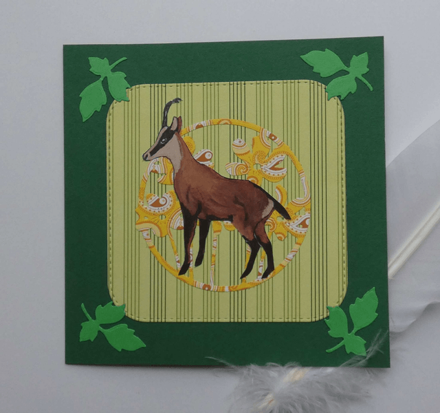 Un joli chamois