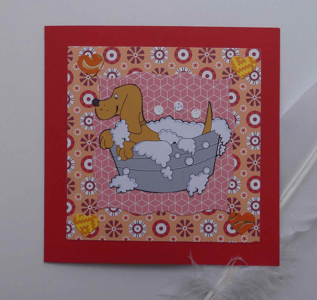 Le bain du chien