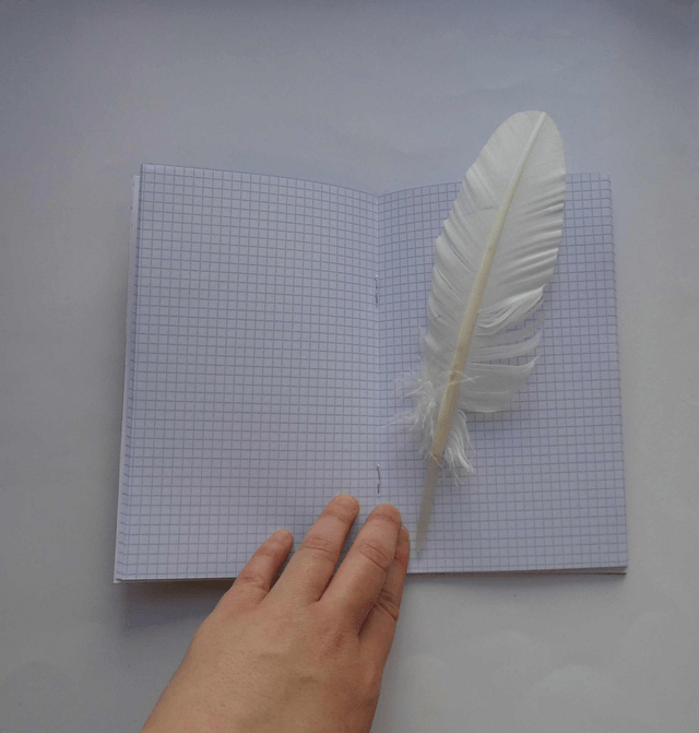 Le petit carnet quadriller aux loups hurlant à la lune
