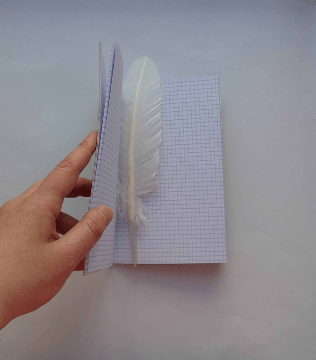Le petit carnet quadrillé aux grenouilles