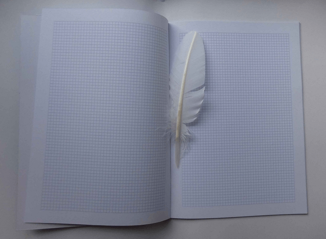 Grand carnet de brouillon des fées