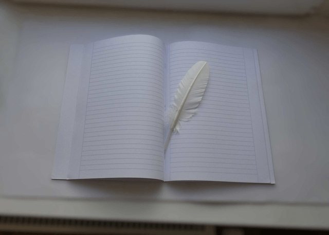 Le grand carnet ligné aux hérons